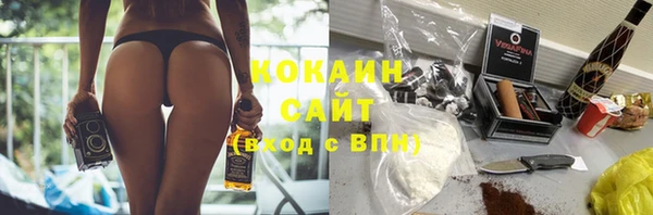 сатива Бородино