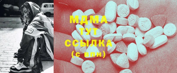 сатива Бородино