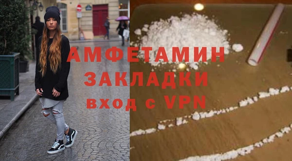 сатива Бородино