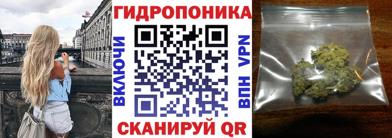 Шишки марихуана индика  наркотики  Мелеуз 